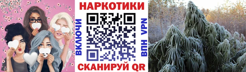 APVP Элиста