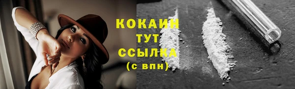 ешки Вяземский