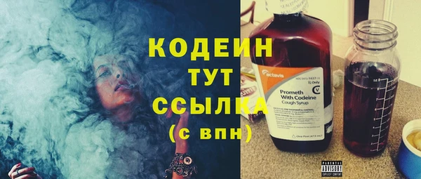ешки Вяземский