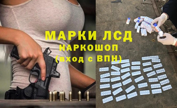 ешки Вяземский