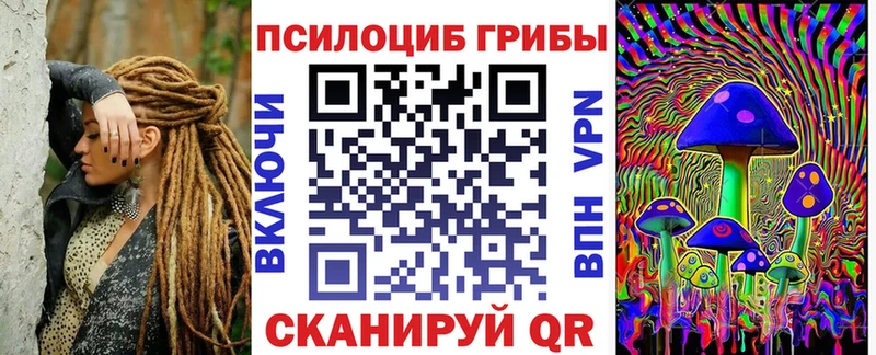 Псилоцибиновые грибы прущие грибы  omg ТОР  Элиста 