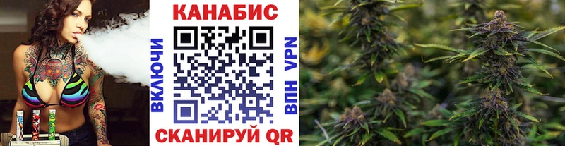 гидра ССЫЛКА  Элиста  Канабис AK-47  как найти закладки 